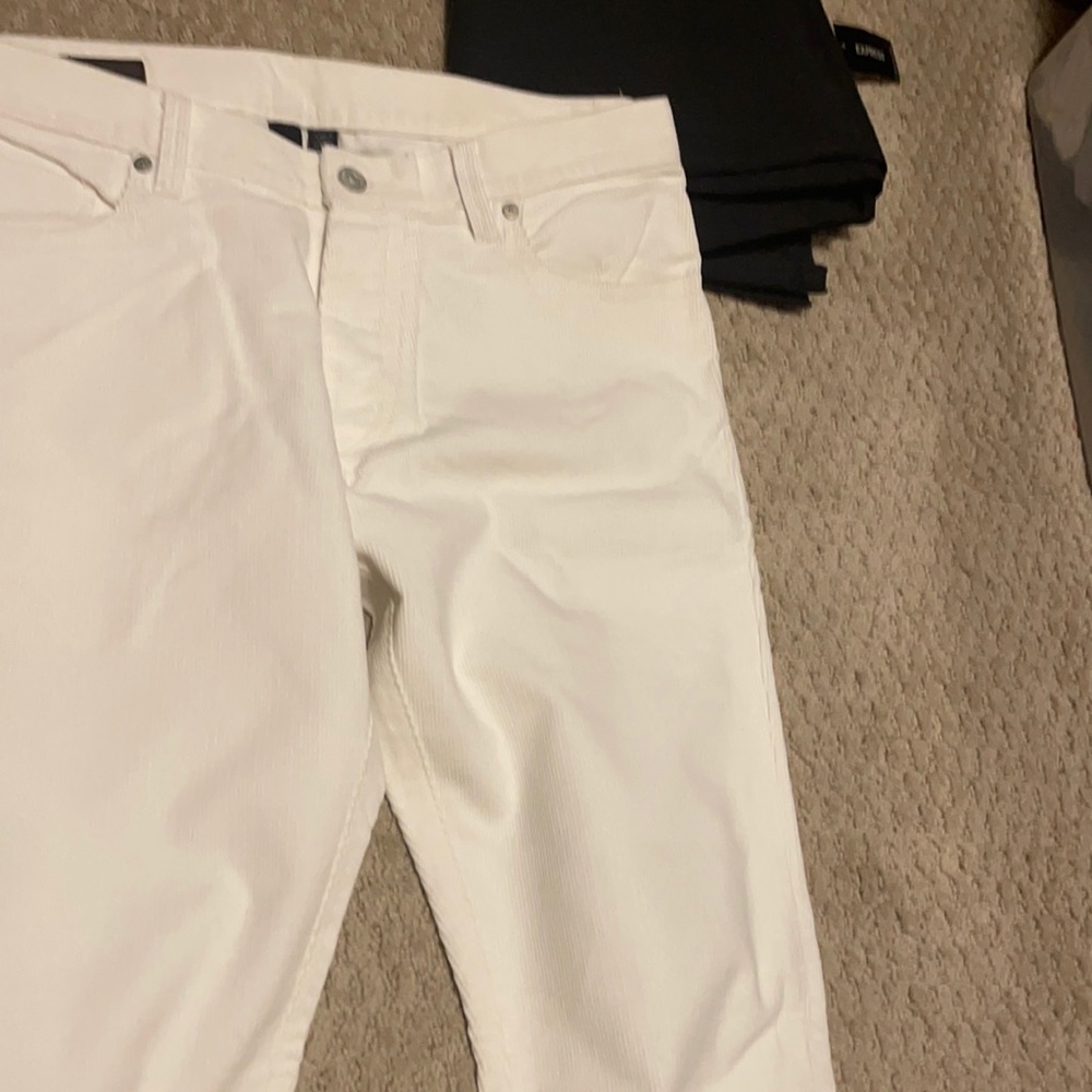 Pant